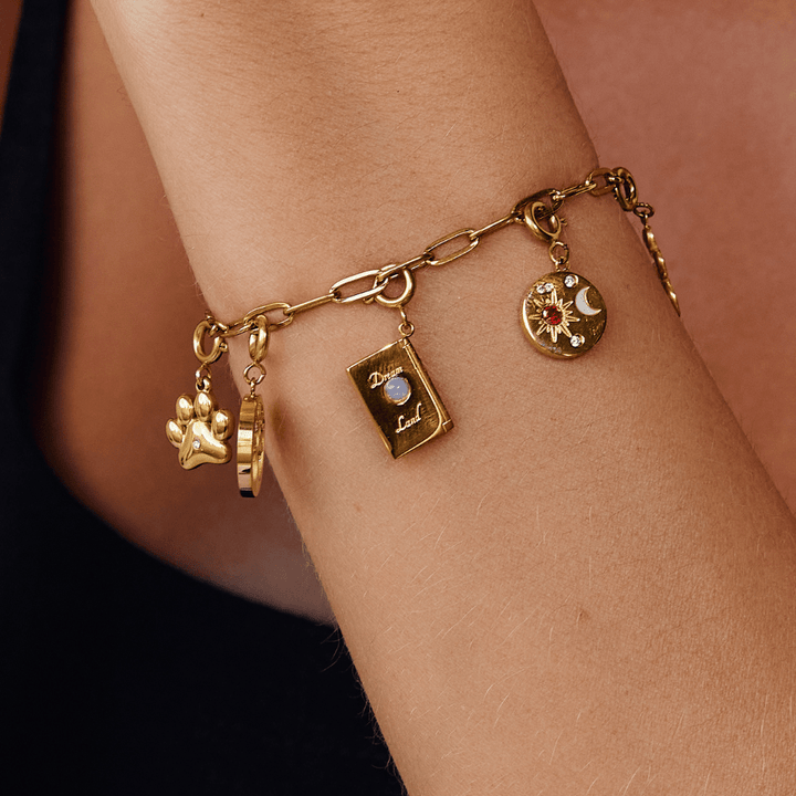 Encanto 'Ciudadano del Mundo'