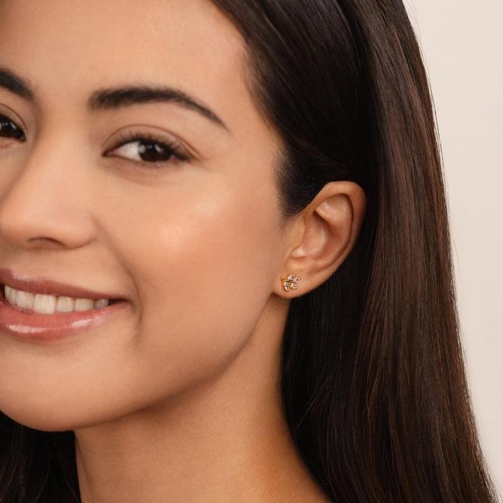 Brillo de Hoja: Resplandor Radiante para Tu Vegetación