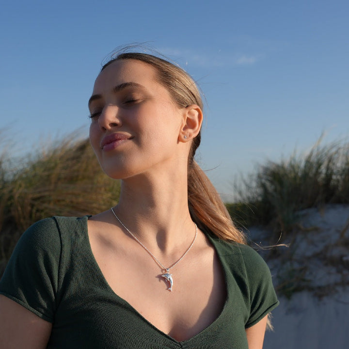 Delfín - Plata: Elegancia Esbelta Redefinida