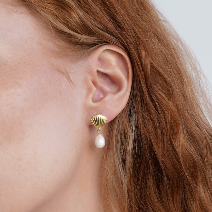 Pendientes de Perlas de Agua Dulce y Concha de Oro