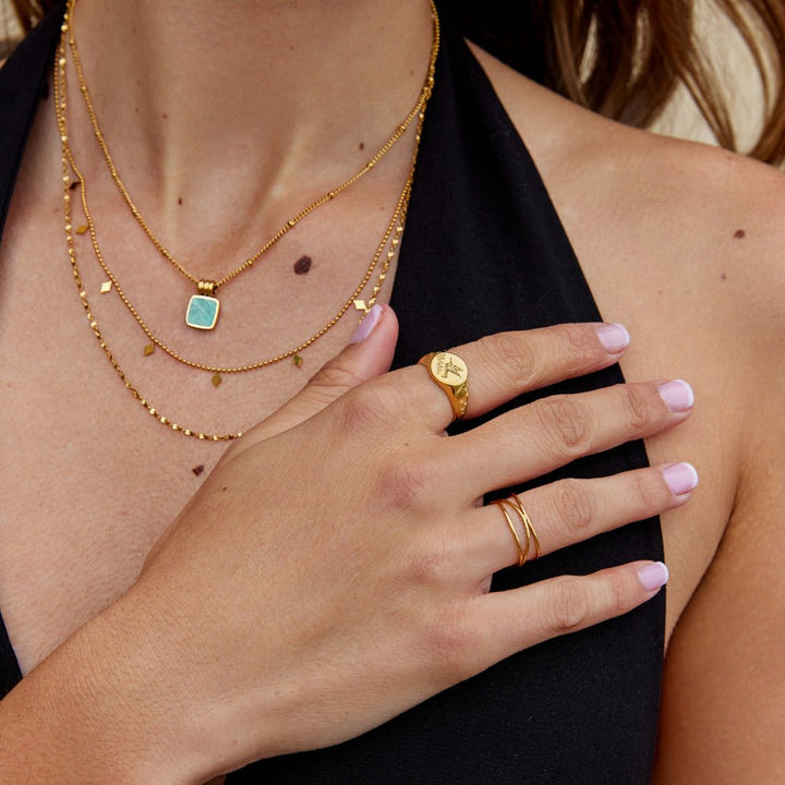 Anillo Signet de Colibrí Dorado