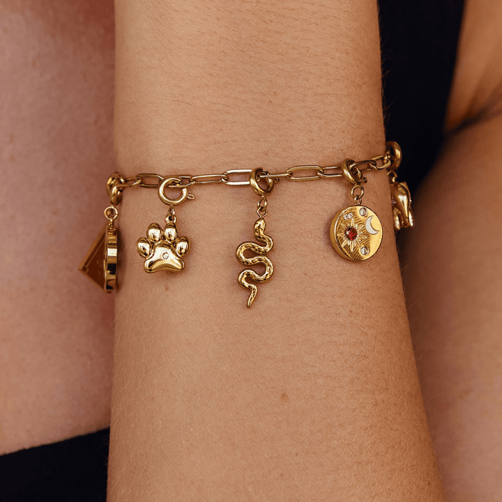 Encanto de Serpiente Dorada