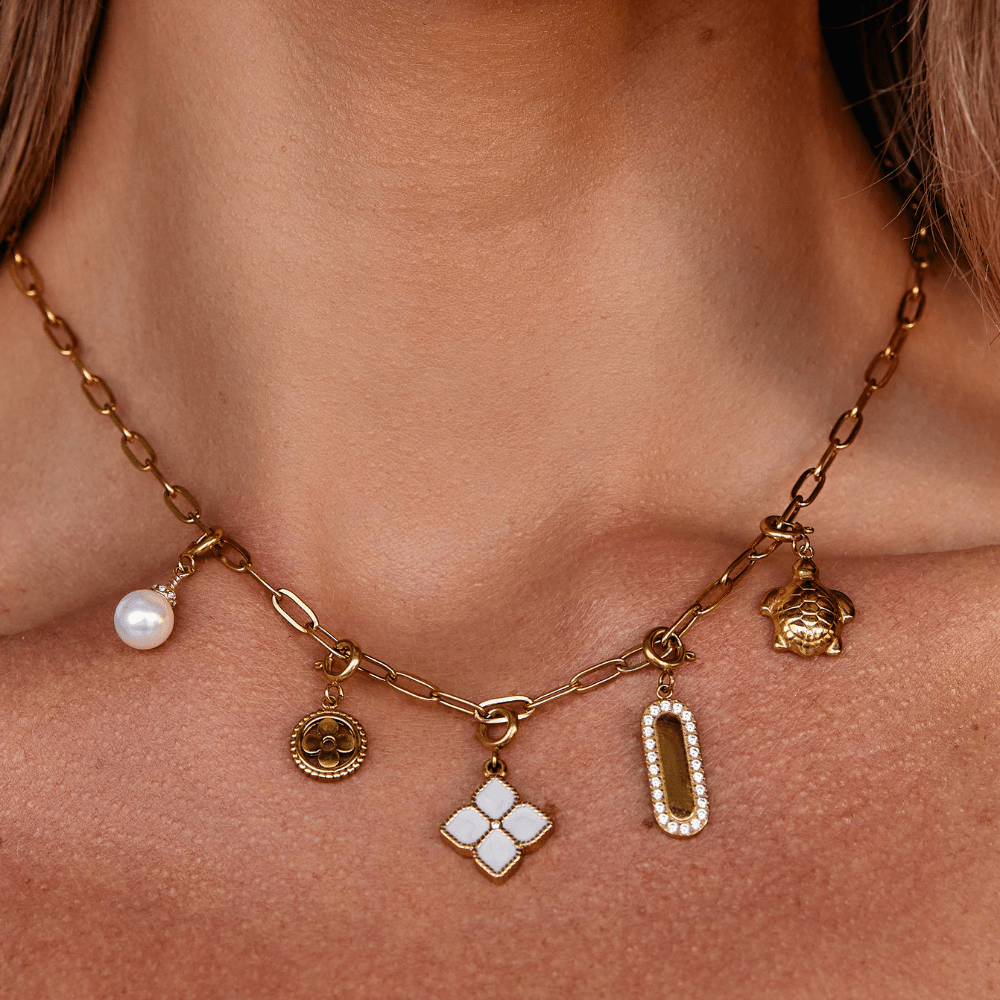 Encanto de Tortuga Dorada