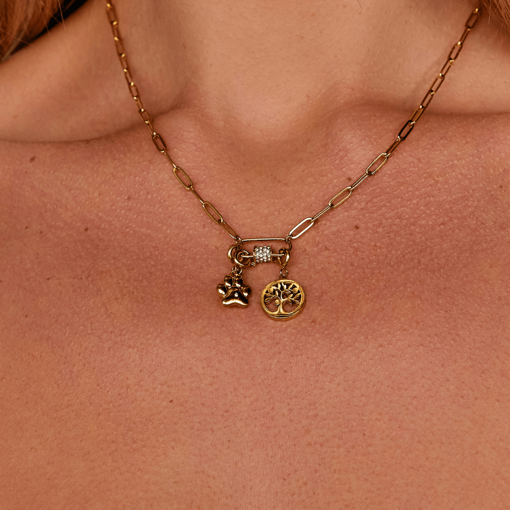 Encanto Pata de Amor