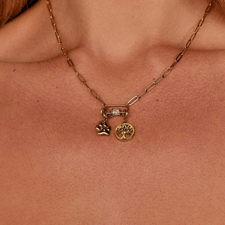 Encanto Pata de Amor